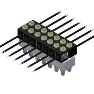 19281